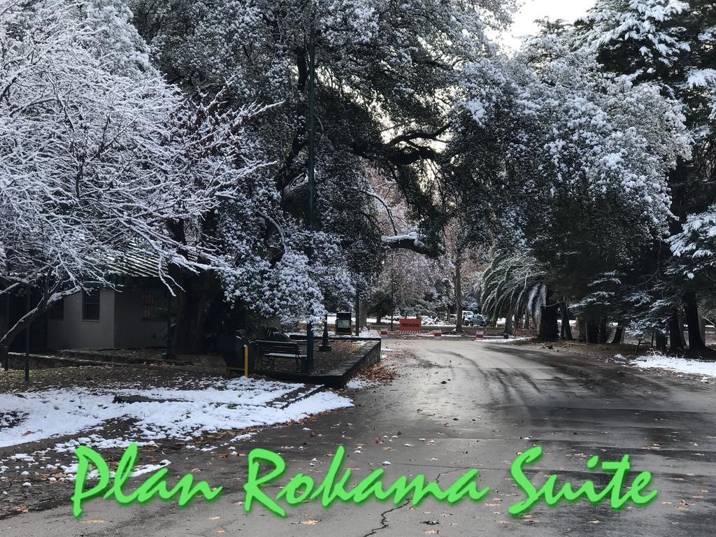 Plan Rokama Suite 586 Mendoza Bagian luar foto
